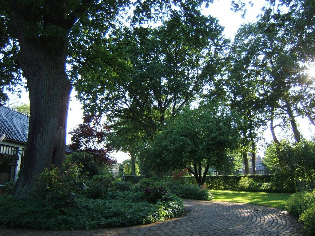 B&B"De Hassehof" Sellingen Exteriér fotografie