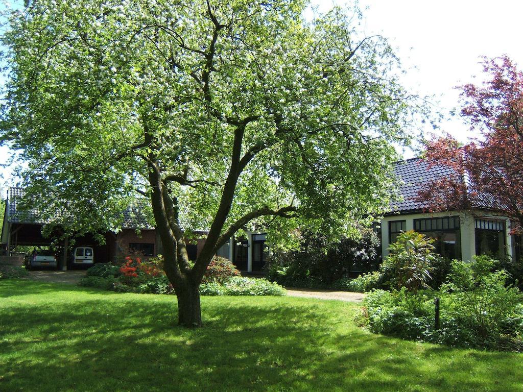 B&B"De Hassehof" Sellingen Exteriér fotografie